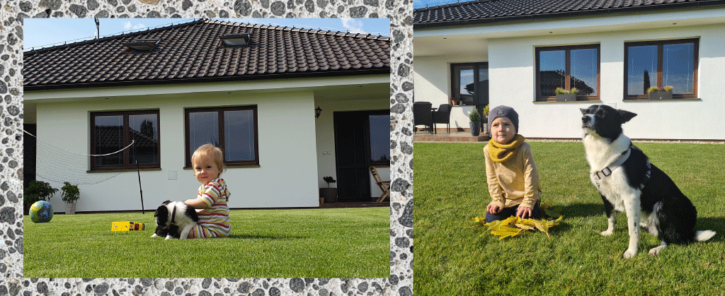 Korlátlan élettartam